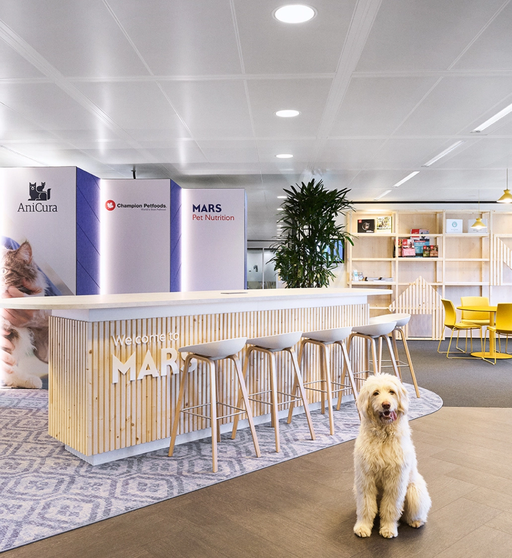 IPG Mediabrands Managed Suite Tribes Dusseldorf